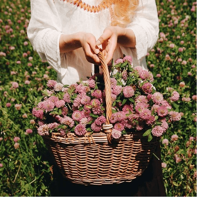 Menopause vs Perimenopause